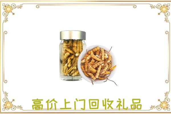 甘州周边回收虫草